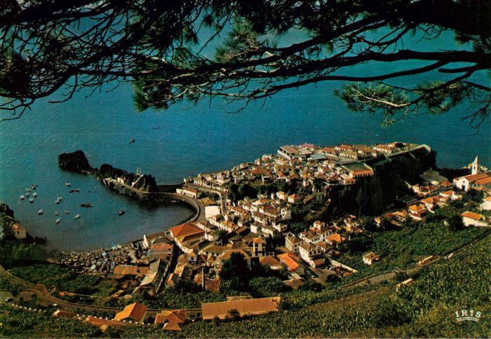 Camara de Lobos Madeira Portugal Vila piscatória Fischerdorf