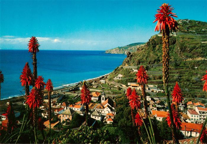 Ribeira Brava Panorama