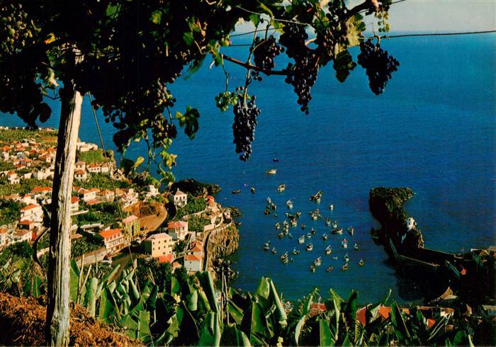 Camara de Lobos Madeira Portugal Aldeia piscatória Panorama Fischerdorf Kueste