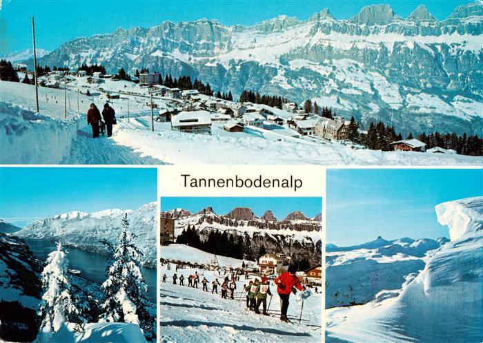Flumserberge SG Panorama Tannenbodenalp Teilansichten