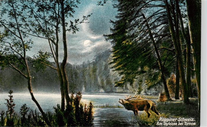 Tornow Neuruppin Partie am Teufelsee Kuenstlerkarte