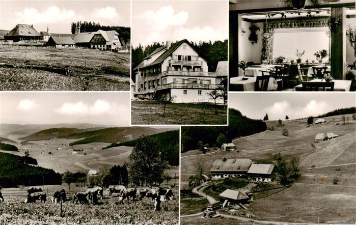 Schwaerzenbach Titisee-Neustadt Pension Haus Feldbergblick Gastraum Panorama Tei