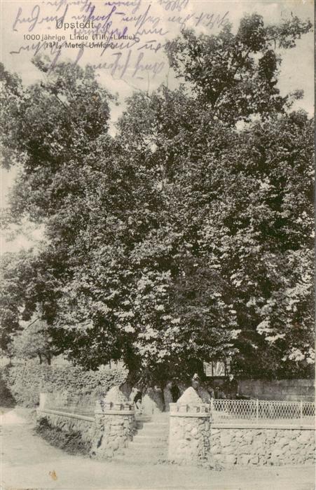 Upstedt 1000jaehrige Linde