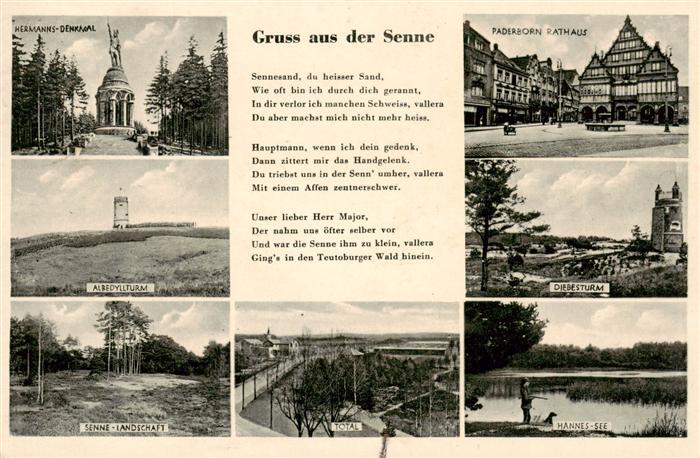 Teutoburgerwald Hermanns Denkmal Albedyllturm Senne Landschaft Paderborn Rathaus