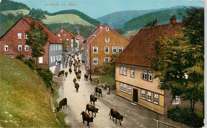 Lerbach Harz Viehauftrieb