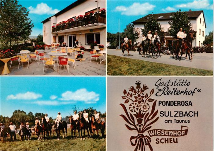 Sulzbach Taunus Gaststaette Reiterhof Wiesenhof Ponderosa