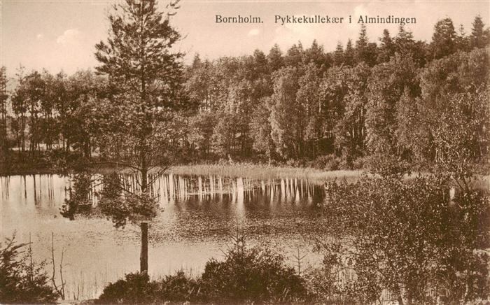 Bornholm Pykkekullekaer i Almindingen