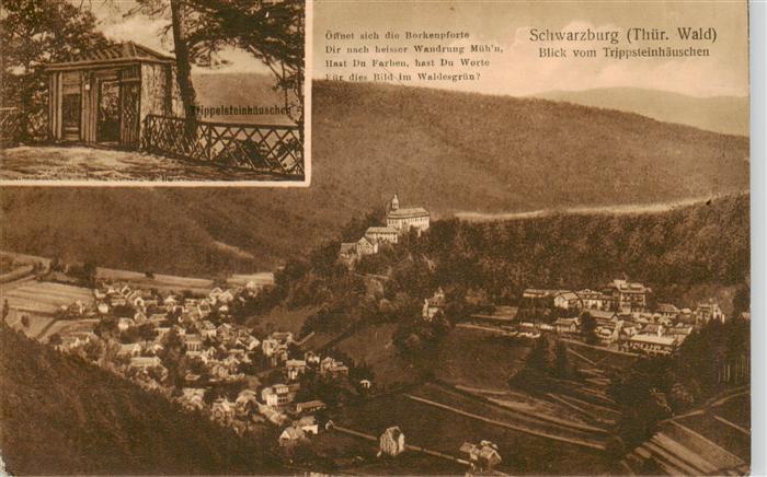 Schwarzburg Thueringer Wald Trippsteinhaeuschen Panorama