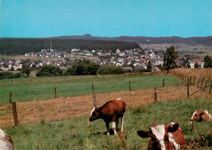 Hintermeilingen Waldbrunn Panorama