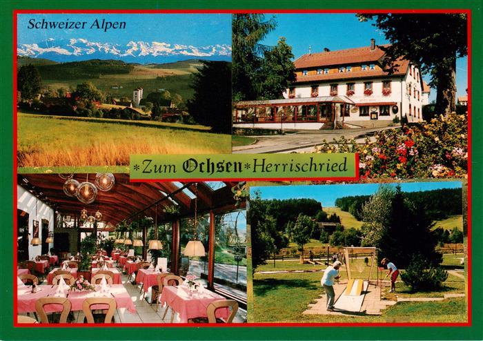 Herrischried Schweizer Alpen Gasthof Zum Ochsen Gastraum Minigolfanlage