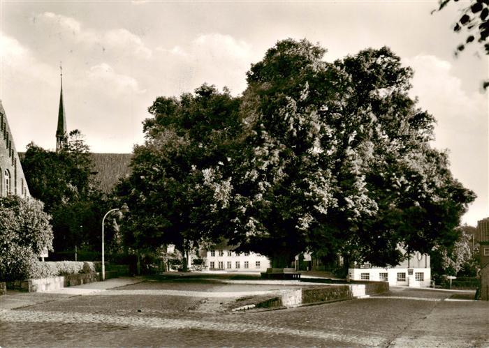 Bordesholm Wahrzeichen ca. 3oojaehrige Linde