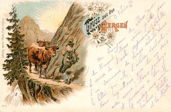 Schweiz Region Foerster kuehe Lito