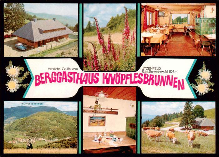 Utzenfeld Schwarzwald Berggsthaus Knoepflesbrunnen Gastraeume Panorama Viehweide