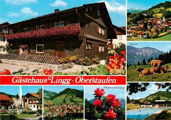 Oberstaufen Oberallgaeu Bayern Gaestehaus Lingg Panorama Alpenrosen Alpvieh Sch