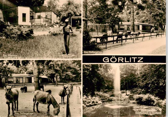 Goerlitz  Sachsen Zum Affenhaus Zoo Huftiergehege Goldfischteich im Stadtpark