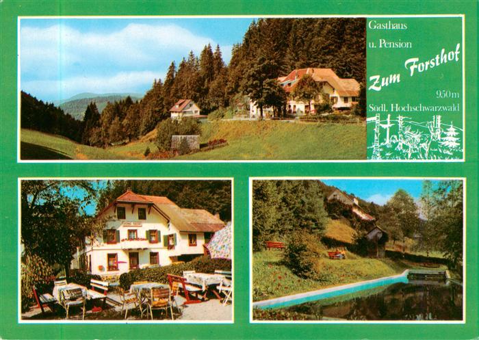 Haeg-Ehrsberg Baden Gasthaus Pension zum Forsthof im Schwarzwald