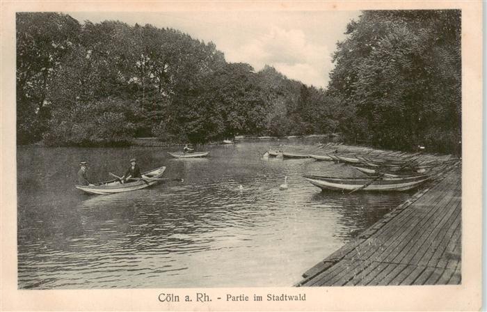 Coeln Rhein Partie im Stadtwald