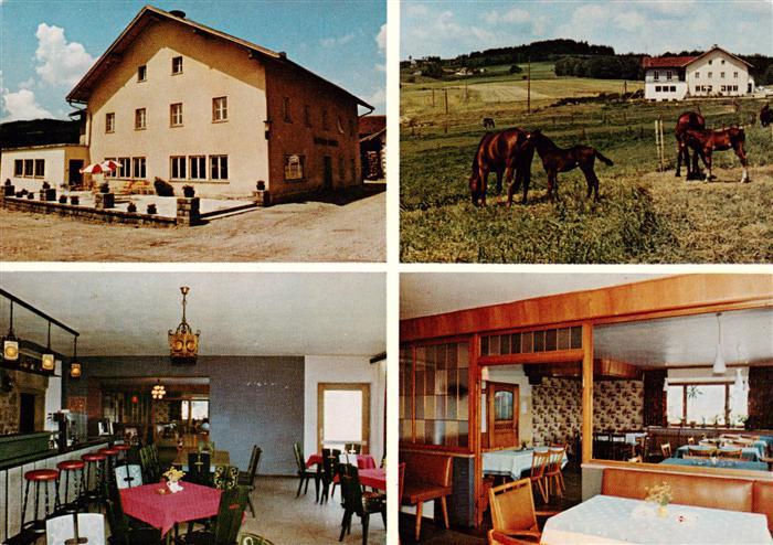 Linden Geiersthal Gasthaus Pension Maurer Gastraeume Bar Pferdekoppel