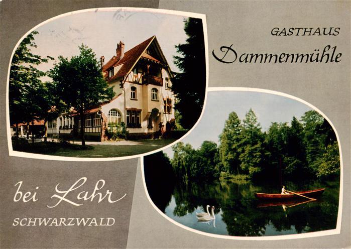 Lahr Baden Gasthaus Dammenmuehle Gondelteich