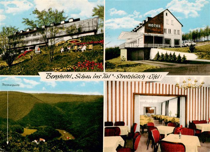 Strotzbuesch Berghotel Schau ins Tal Thermalquelle Gastraum