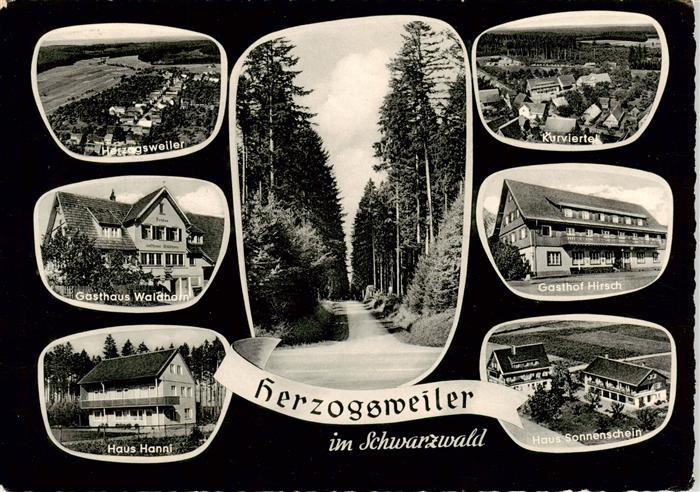 Herzogsweiler Pfalzgrafenweiler Gasthaus Waldhorn Haus Hanni Kurviertel Gasthof