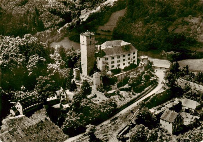 Neckarmuehlbach Burg Guttenberg mit Burgmuseum und Falkenhof Fliegeraufnahme