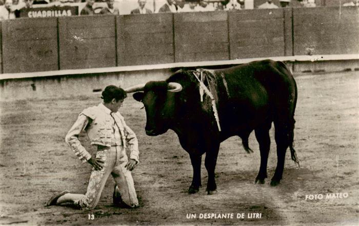 Stierkampf Corrida de Toros Bullfight Foto Mateo un Desplante de Litri