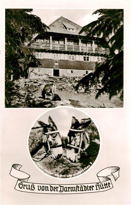 Seebach Ottenhoefen Schwarzwald Darmstaedter Huette Esel