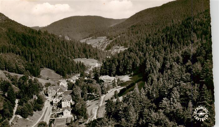 Bad Rippoldsau Schwarzwald Fliegeraufnahme