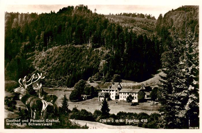 Wildbad Schwarzwald Gasthof Pension Enzhof