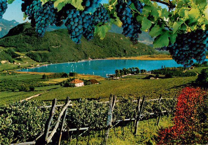 Kalterer See Suedtirol Weinort im ueberetsch Seepartie