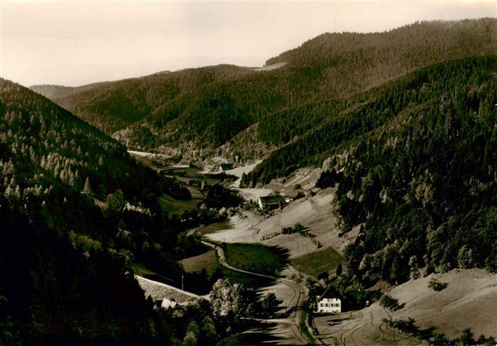 Bad Rippoldsau Schwarzwald Fliegeraufnahme