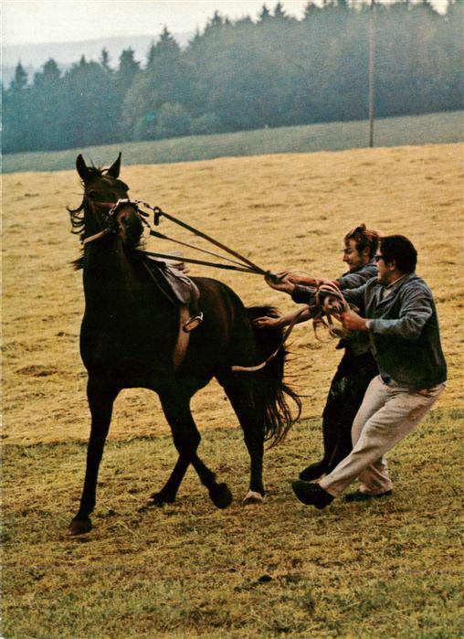 Le Roselet JU Stiftung fuer das Pferd