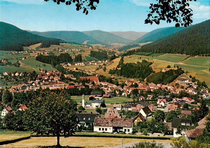 Baiersbronn Schwarzwald Panorama