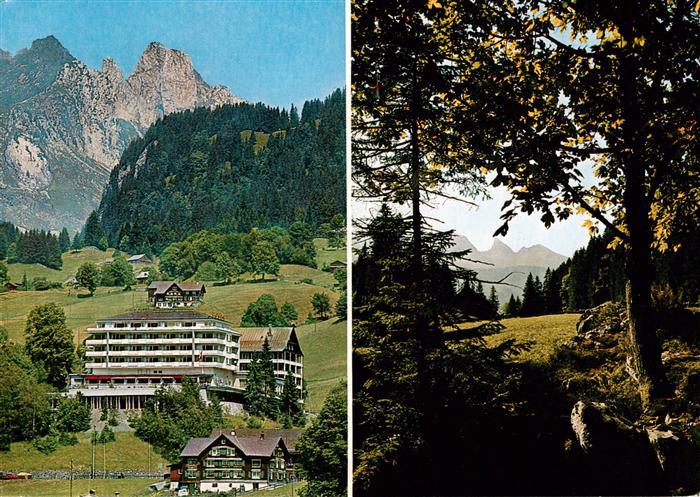 Wildhaus  SG Hotel Acker Panorama