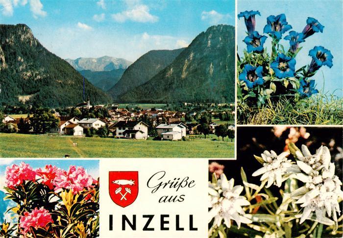 Inzell Panorama Alpenflora