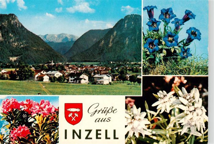 Inzell Panorama Alpenflora
