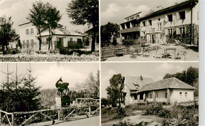 Matraszentimre HU Bagolyirtas