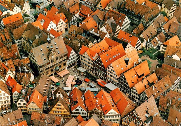 Tuebingen Fliegeraufnahme