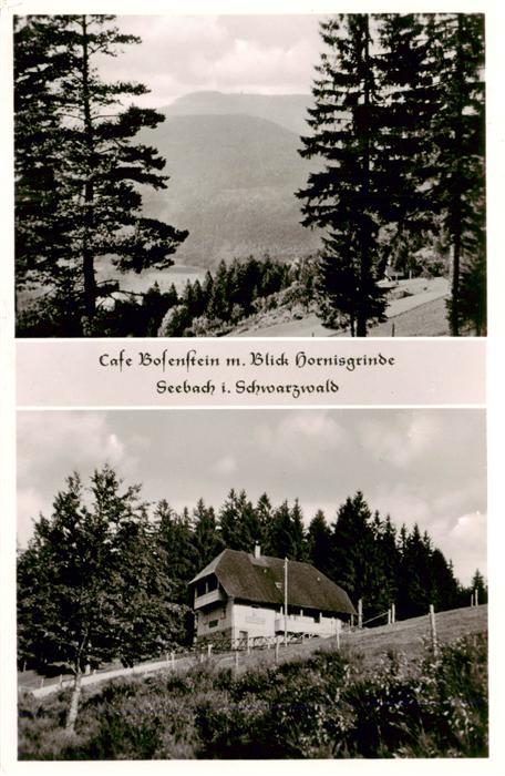 Seebach Ottenhoefen Schwarzwald Cafe Bosenstein mit Hornisgrinde