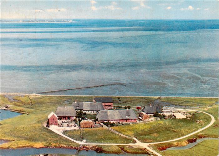 Hallig Langeness Maienswarft