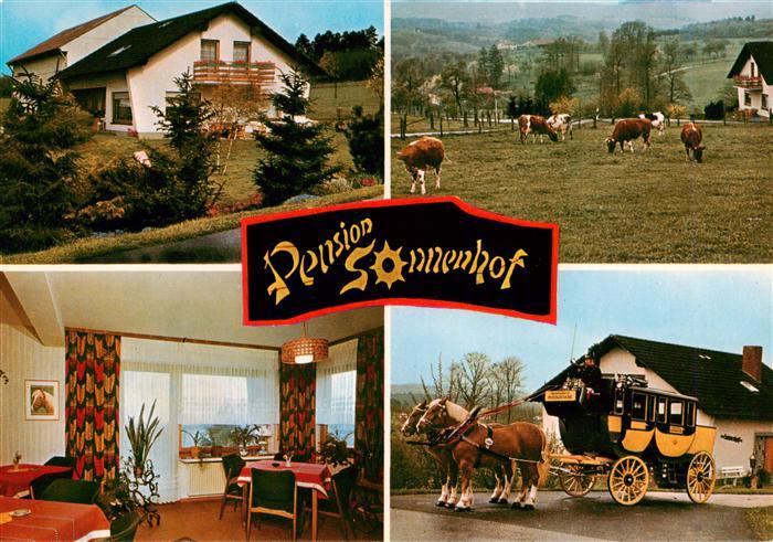 Geringhausen Pension Sonnenhof Gaststube Postkutsche Rinderherde