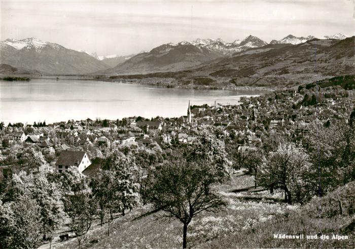 Waedenswil Waedensweil ZH Panorama mit Alpenblick