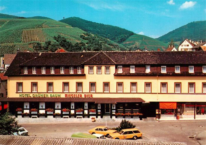 Buehlertal Hotel Gruener Baum