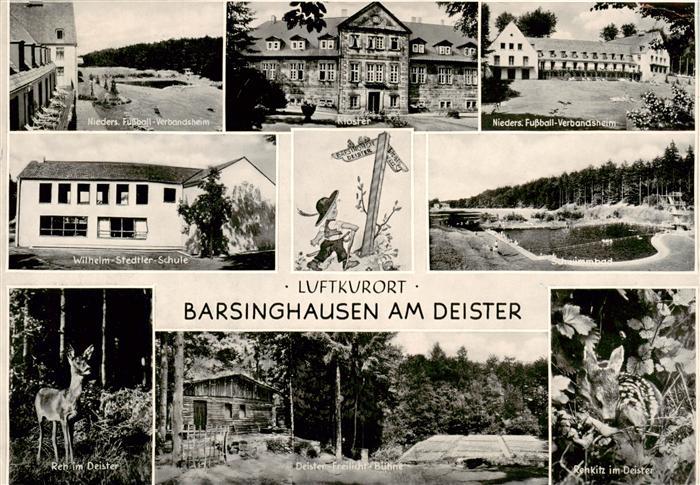 Barsinghausen Wilhelm Stedtler Schule Schwimmbad Reh und Rehkitz im Deister Frei