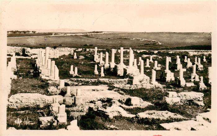 Carthage  Karthago Carthago Tunesie Basilique de Damous el Karita