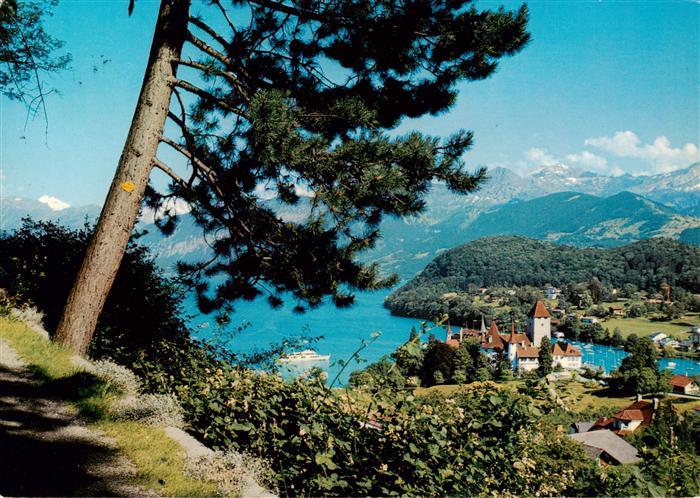 Spiez Thunersee BE Panorama Kirche