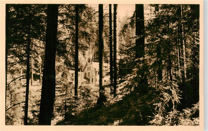 Gerardmer 88 Vosges La Foret a l’Hotel du Saut des Cuves