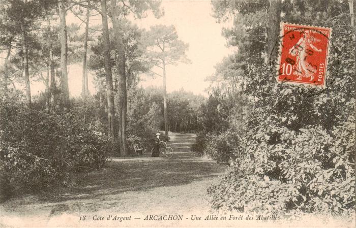 Arcachon 33 Gironde Une Allee en Foret des Abatiles