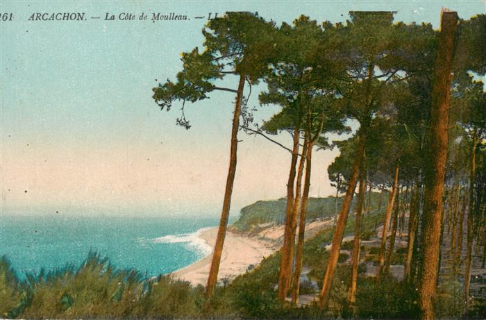 Arcachon 33 Gironde La Cote de Meulleau